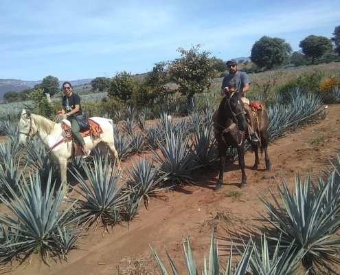 Cabalgata por la Ruta del tequila