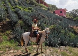 tour en jalisco