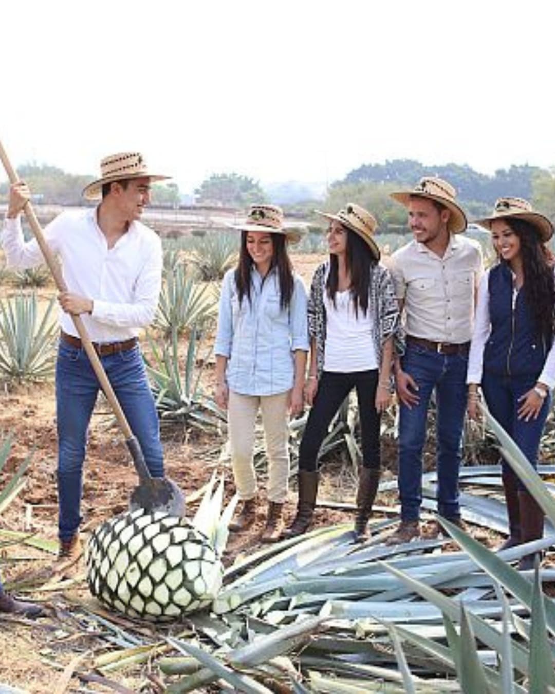 Sauza, tour, tranvía