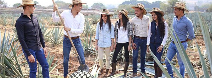 Sauza, tour, tranvía