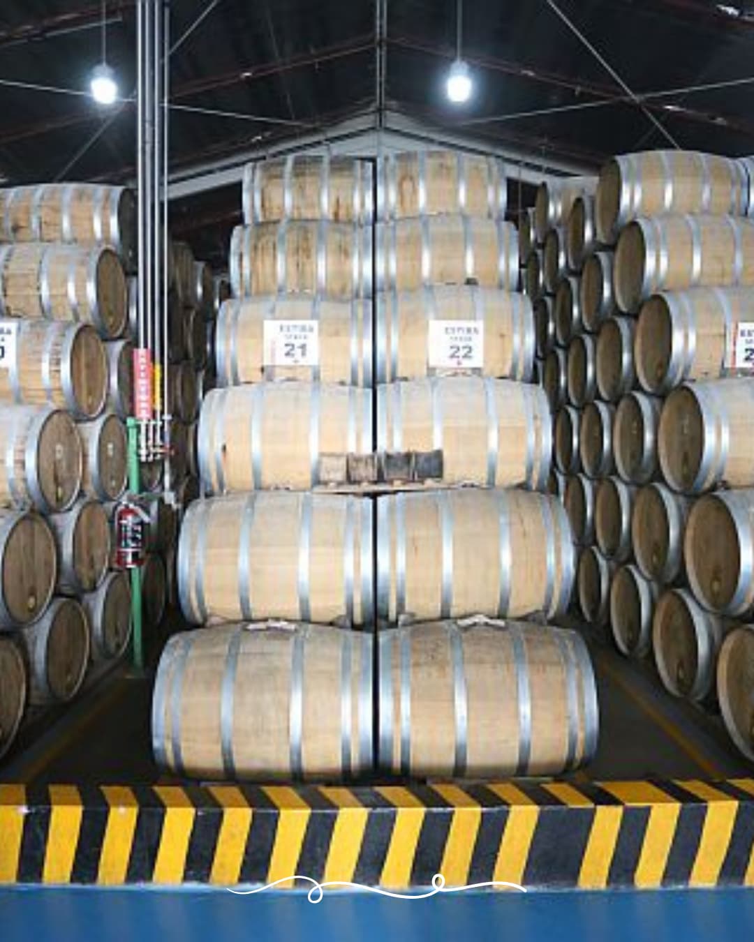 Sauza, tour, tranvía